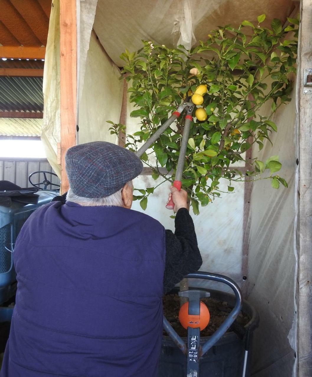 B&B El Ranxo Franciach Kültér fotó